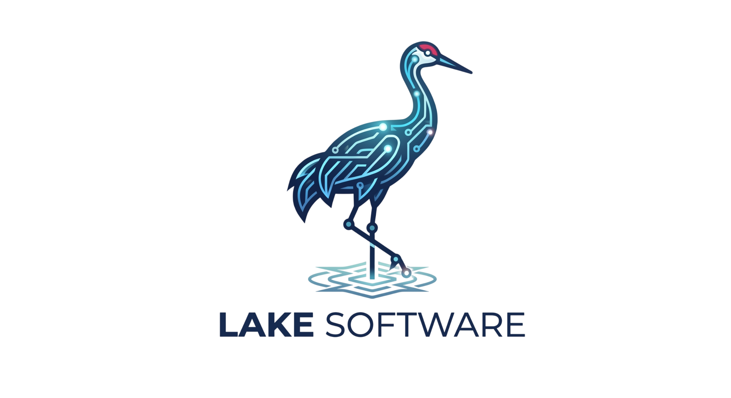 Lake Software LLC Logo